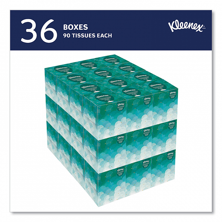Professional Facial Tissue, Pop-Up Box, 2-Ply, White, 90 Sheets/Box, 36 Boxes/Carton (21270CT)