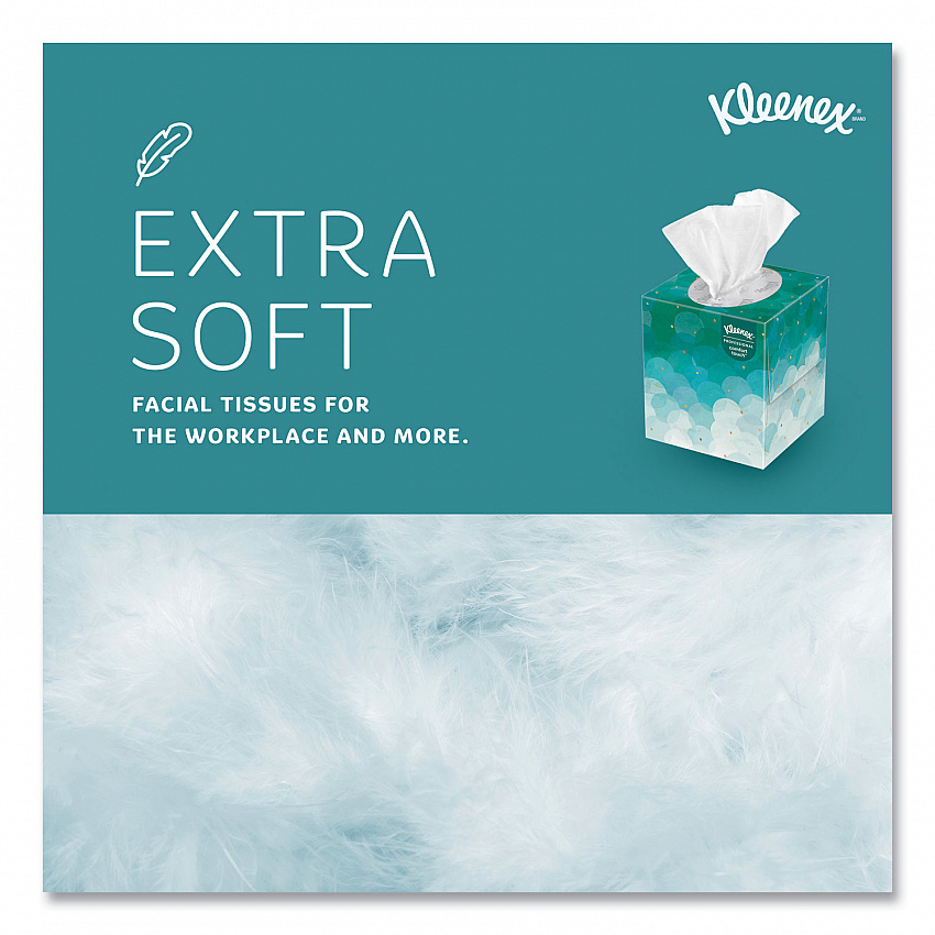 Professional Facial Tissue, Pop-Up Box, 2-Ply, 95 Sheets/Box, 6 Boxes/Pack, 6 Packs/Carton (21271CT)