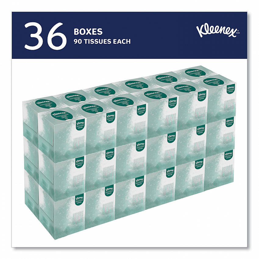 Naturals Facial Tissue for Business, BOUTIQUE POP-UP Box, 2-Ply, White, 90 Sheets/Box, 36 Boxes/Carton (21272)