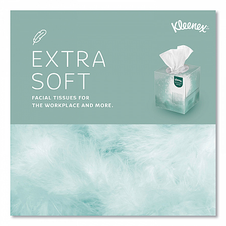 Naturals Facial Tissue, 2-Ply, White, 90 Sheets/Box (21272BX)
