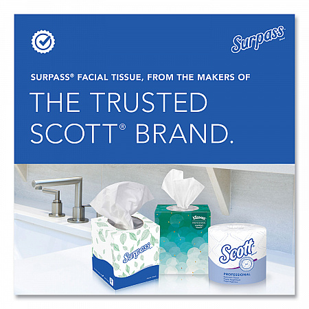 Facial Tissue for Business, Flat Box, 2-Ply, White, 100 Sheets/Box, 30 Boxes/Carton (21340)