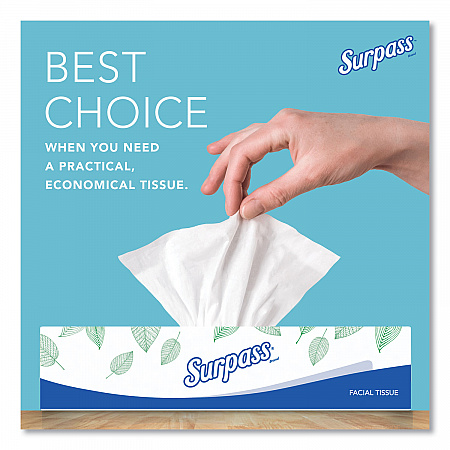 Facial Tissue for Business, Flat Box, 2-Ply, White, 100 Sheets/Box, 30 Boxes/Carton (21340)