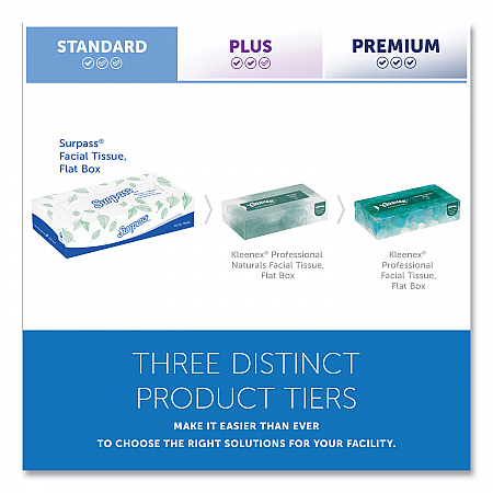 Facial Tissue for Business, Flat Box, 2-Ply, White, 100 Sheets/Box, 30 Boxes/Carton (21340)