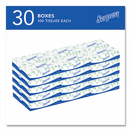 Facial Tissue for Business, Flat Box, 2-Ply, White, 100 Sheets/Box, 30 Boxes/Carton (21340)
