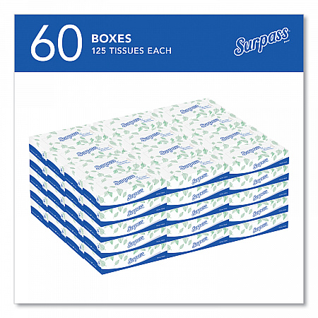 Facial Tissue for Business, 2-Ply, White, 125 Sheets/Box, 60 Boxes/Carton (21390)