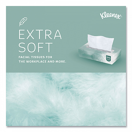 Naturals Facial Tissue for Business, Flat Box, 2-Ply, White, 125 Sheets/Box, 48 Boxes/Carton (21601)