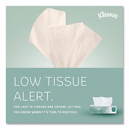 Naturals Facial Tissue for Business, Flat Box, 2-Ply, White, 125 Sheets/Box, 48 Boxes/Carton (21601)