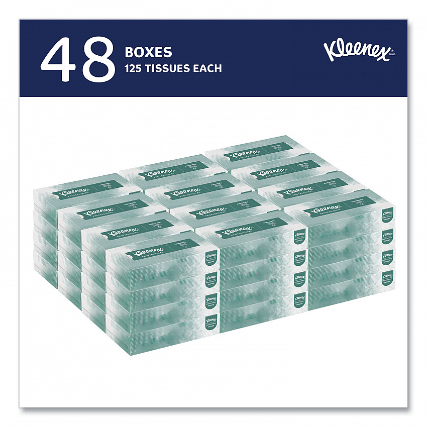 Naturals Facial Tissue for Business, Flat Box, 2-Ply, White, 125 Sheets/Box, 48 Boxes/Carton (21601)