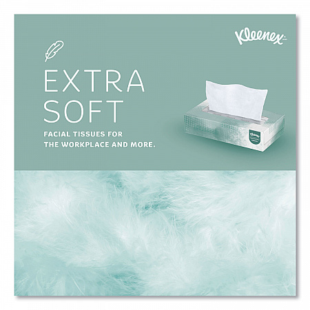 Naturals Facial Tissue for Business, Flat Box, 2-Ply, White, 125 Sheets/Box (21601BX)