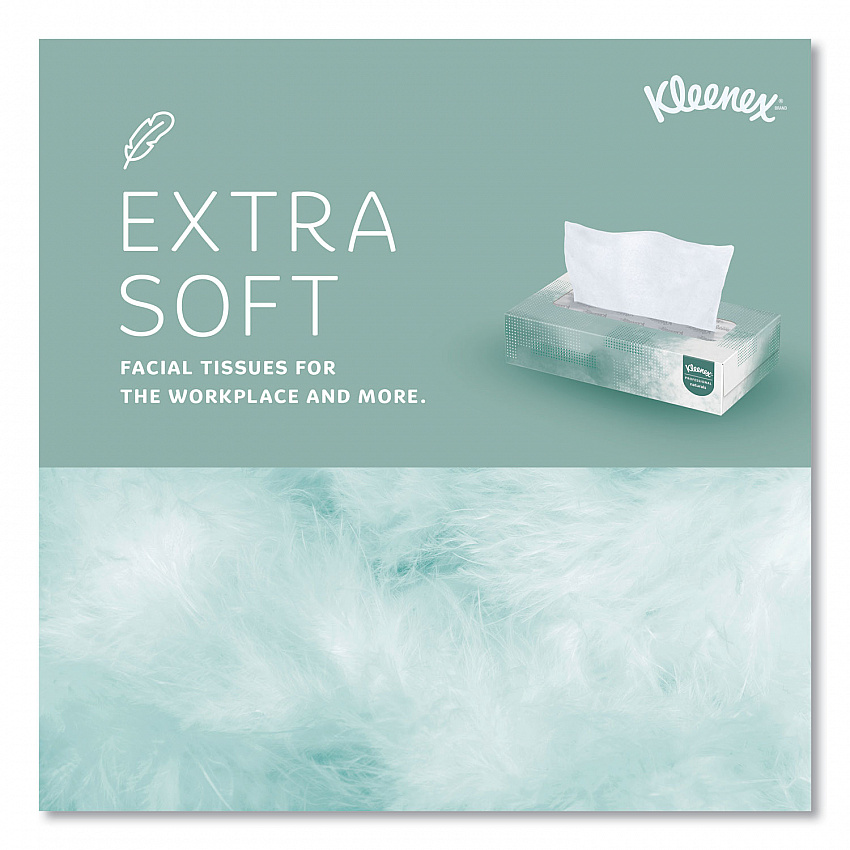Naturals Facial Tissue for Business, Flat Box, 2-Ply, White, 125 Sheets/Box (21601BX)