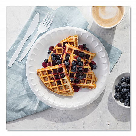Placesetter Satin Non-Laminated Foam Dinnerware, Plate, 9