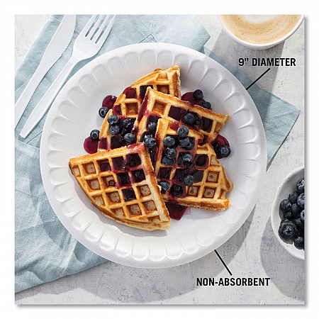 Placesetter Satin Non-Laminated Foam Dinnerware, Plate, 9