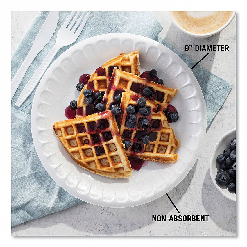 Placesetter Satin Non-Laminated Foam Dinnerware, Plate, 9" dia, White, 125/Pack, 4 Packs/Carton (0TH10009)