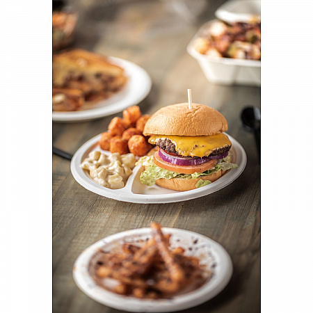 EarthChoice PFAS Free Compostable Dinnerware, 3-Compartment Plate, Sugarcane, 10.25