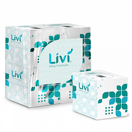 Facial Tissue, Cube Box, 2-Ply, White, 80 Sheets/Box, 4 Boxes/Pack, 6 Packs/Carton (192101)