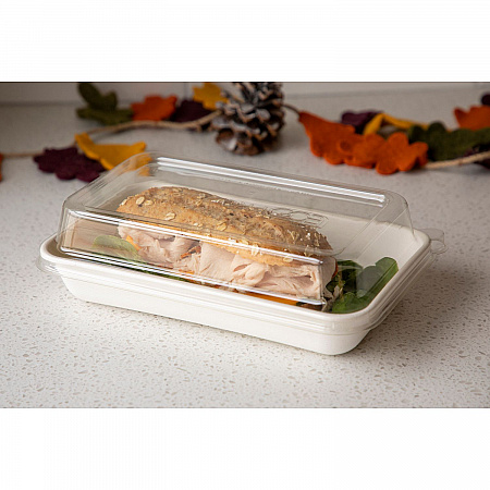 Worldview 100% Recycled Content Lid, 10.82 x 10.71 x 1.83, Clear, Plastic, 200/Carton (EPSCRC107LIR)
