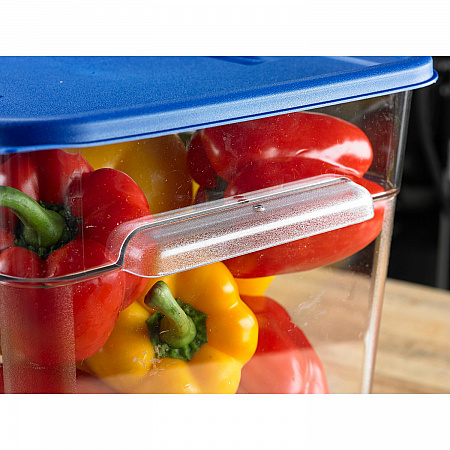 Squares Food Storage Container Lid, 11.38 x 11.38 x 0.63, Blue, Plastic (1197260)