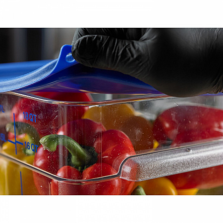 Squares Food Storage Container Lid, 11.38 x 11.38 x 0.63, Blue, Plastic (1197260)