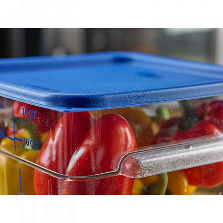 Squares Food Storage Container Lid, 11.38 x 11.38 x 0.63, Blue, Plastic (1197260)