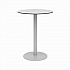 Eveleen Outdoor Bistro Patio Table, Two Mocha Powder-Coated Polymer Barstools, Round, 30