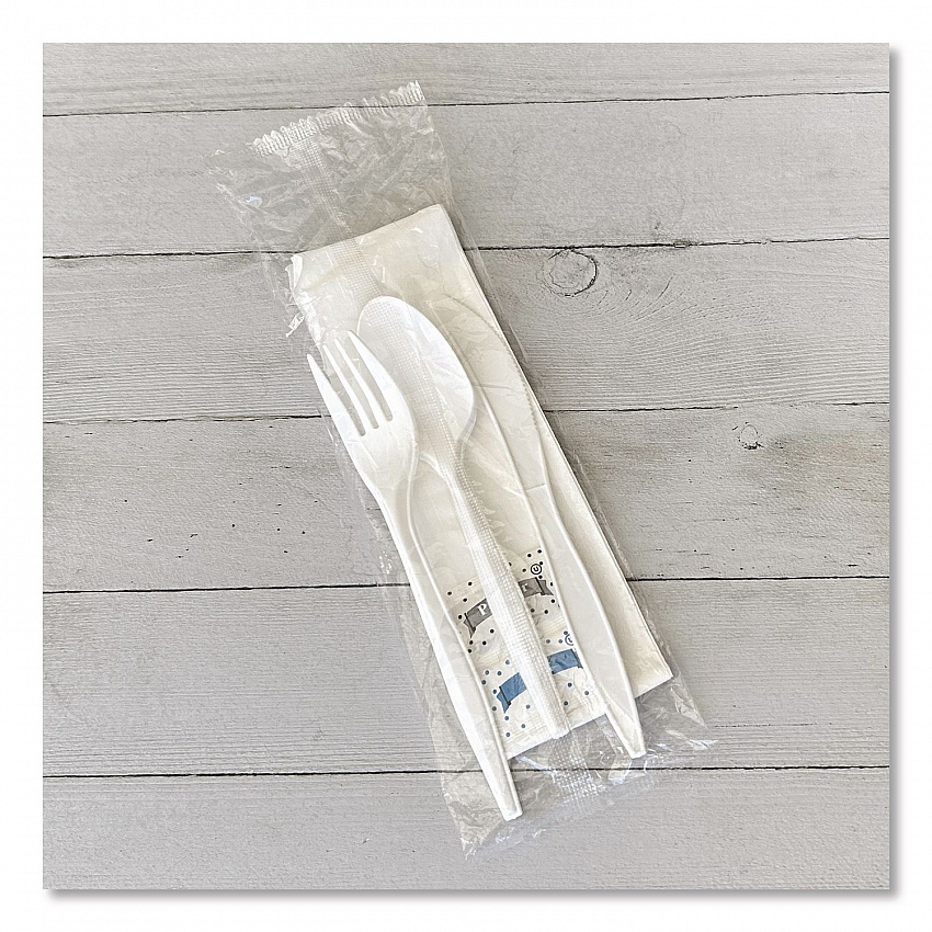 Six-Piece Cutlery Kit, Mediumweight, Fork/Knife/Napkin/Pepper/Salt/Spoon, 5.86", Plastic, White, 250/Carton (6COMBOKITPP)