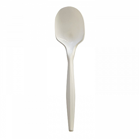 Mediumweight Wrapped Polypropylene Cutlery, Soup Spoon, 4.86