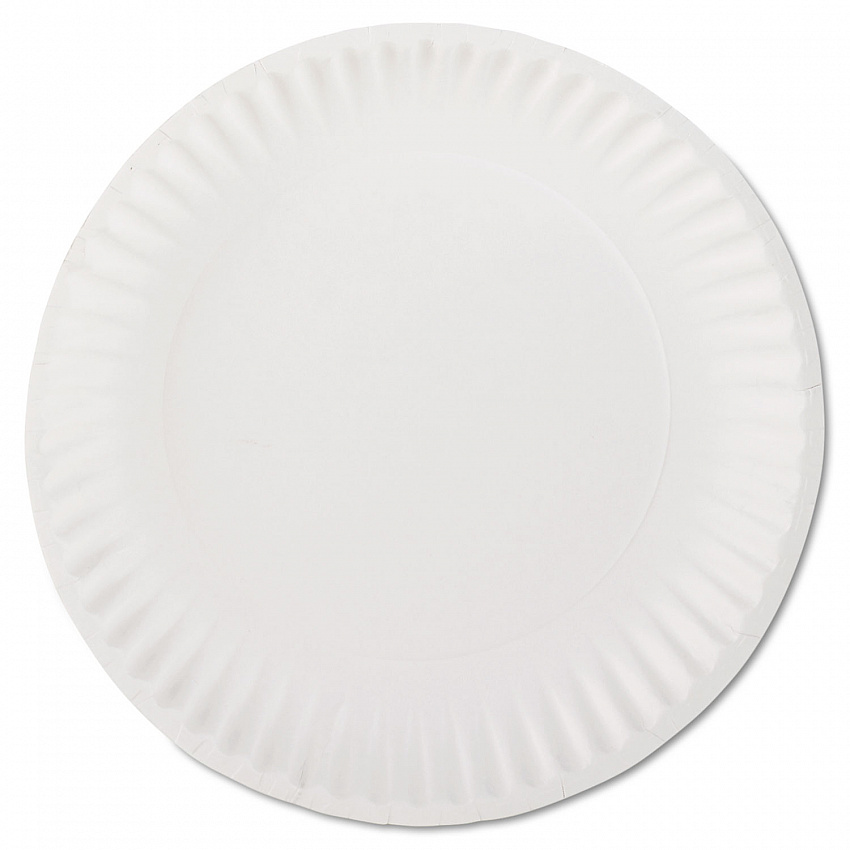 White Paper Plates, 9" dia, 100/Pack (PP9GREWHPK)