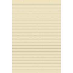 Pacon Recyclable Ruled Tagboard Sheet (5163)