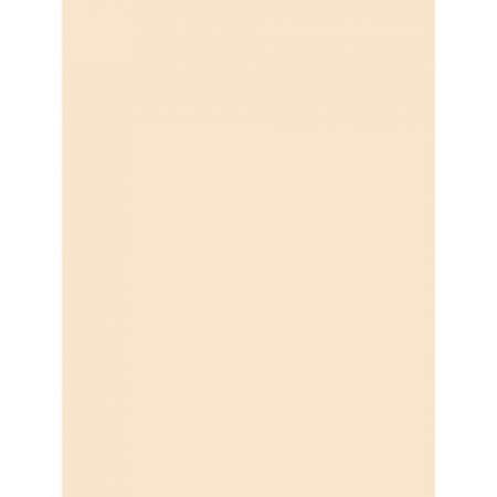 Pacon Medium Weight Tagboard Paper (5190)