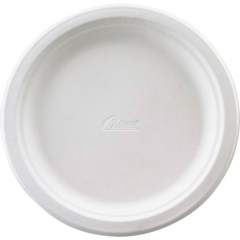 Chinet Premium Tableware Plates (21237)