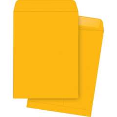 Business Source Kraft Gummed Catalog Envelopes (42101)