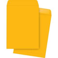 Business Source Kraft Gummed Catalog Envelopes (42114)