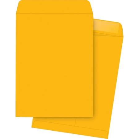 Business Source Kraft Gummed Catalog Envelopes (42116)