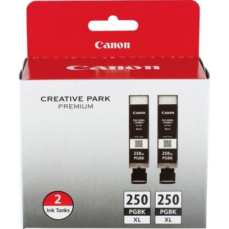 Canon PGI-250 XL Original Ink Cartridge (PGI250XL2PK)