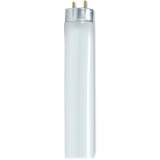 Satco 25-watt 48" T8 Fluorescent Bulb (S8440)