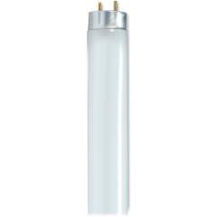 Satco 32-watt 48" T8 Fluorescent Bulbs (S8449)