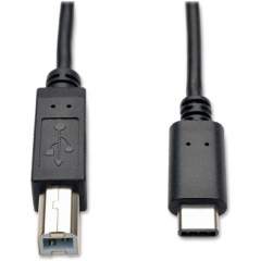 Tripp Lite 6ft USB 2.0 Hi-Speed Cable B Male to USB Type-C USB-C Male (U040006)