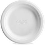 Chinet Paper Dinner Plates (VACATECT)