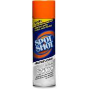 Spot Shot Professional Instant Carpet Stain Remover (00993CT)