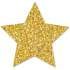 Ashley Sparkle Decorative Magnetic Star (304504)
