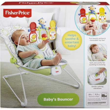 Fisher-Price Baby's Bouncer (CMR17)