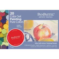 Armadillo Arts & Craft 20-color Pure Colors Paint Pastels (30201)