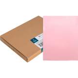 Business Source Letter File Sleeve (00607BX)