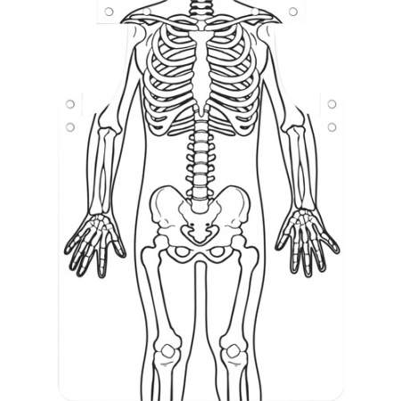 Roylco Skeleton Art Aprons (59801)