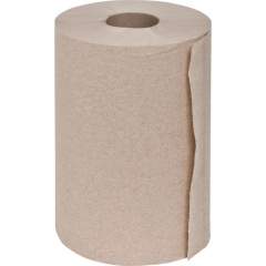 Special Buy Hardwound Roll Towels (HRT350BN)