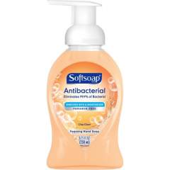 Softsoap Antibacterial Foam Soap (06308)