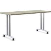Special T Special T Structure Series T-Leg Table Base (RS2T24C2)