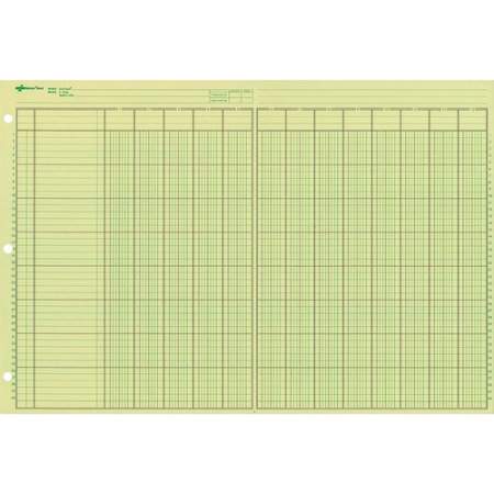 Rediform National Side Punched Analysis Pads (45613)