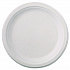 Classic Paper Dinnerware, Plate, 9.75