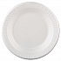 Quiet Classic Laminated Foam Dinnerware, Plate, 10.25
